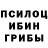 Галлюциногенные грибы мицелий AGRESSOR Hellsing