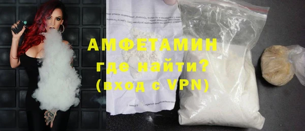 прущие грибы Инта