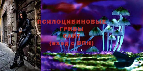 не бодяженный Зеленокумск