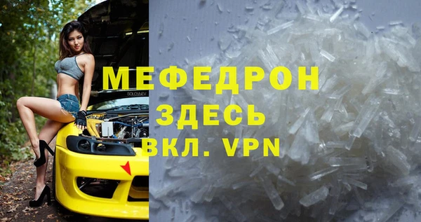 прущие грибы Инта