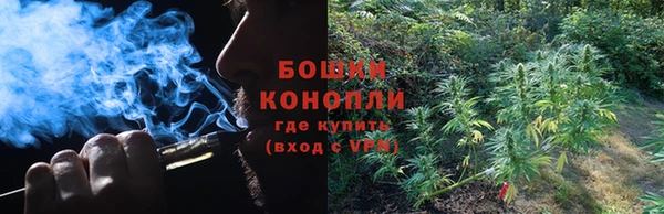 шишки Зерноград
