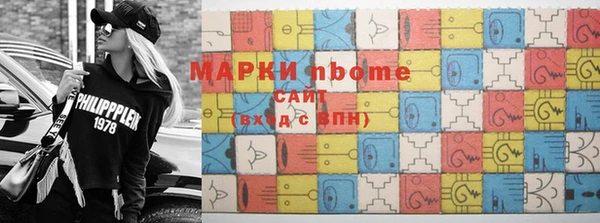 прущие грибы Инта