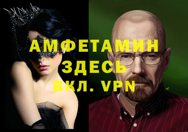 прущие грибы Инта