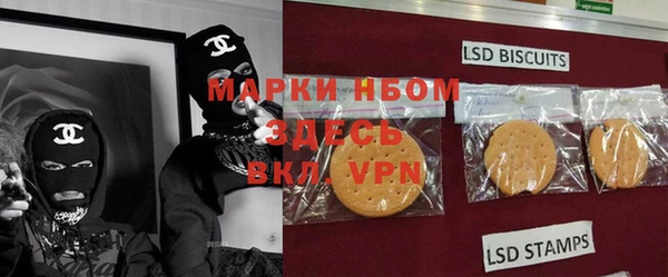 прущие грибы Инта